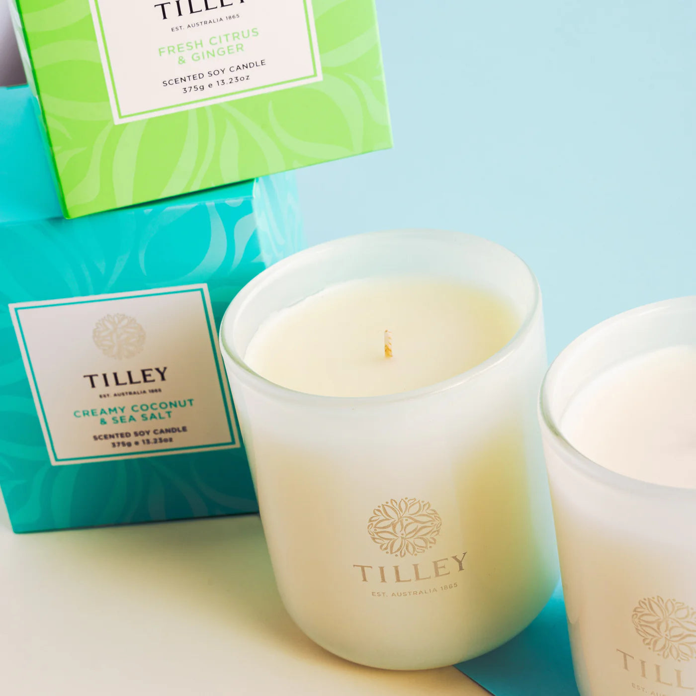 Creamy Coconut & Sea Salt Soy Candle